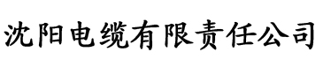 app视频网站电缆厂logo